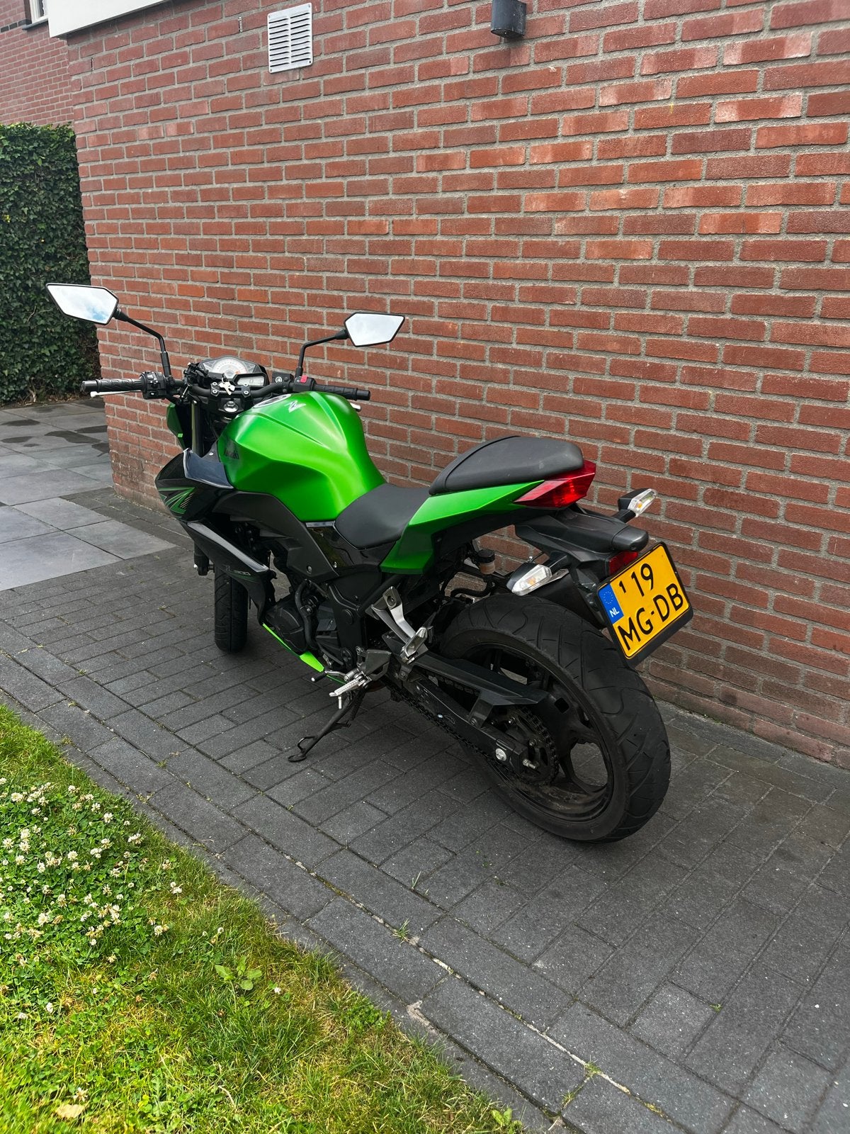 Kawasaki Z300 Naked Bike - Groen - 14.307 km, Motoren, 2 cilinders, Gebruikt, Particulier, Meer dan 35 kW