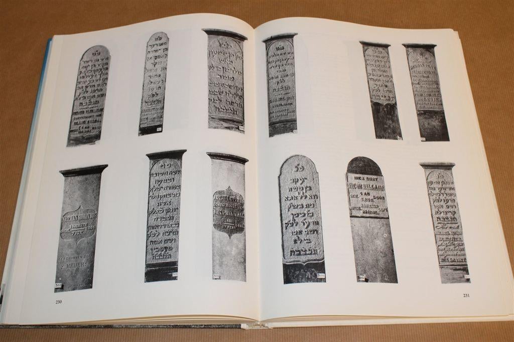 Joodse gemeenschap Veendam-Wildervank, Muntendam, Meeden, Boeken, Ophalen of Verzenden, Gelezen