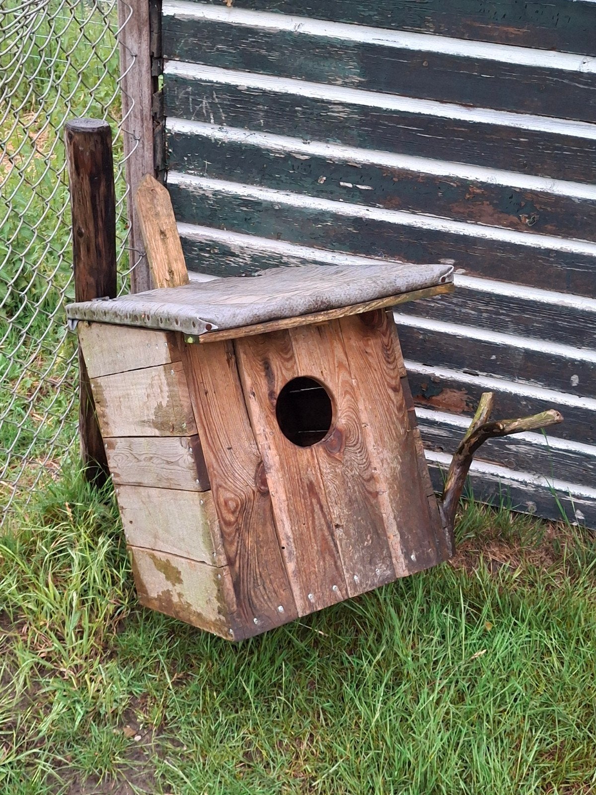 Supper leuke uilenkast bos uilenkast stoer ontwerp, Ophalen, Gebruikt
