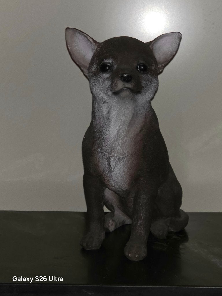 Beeld Chihuahua (Chiwawa), Ophalen of Verzenden, Zo goed als nieuw, Hond of Kat, Beeldje of Figuurtje