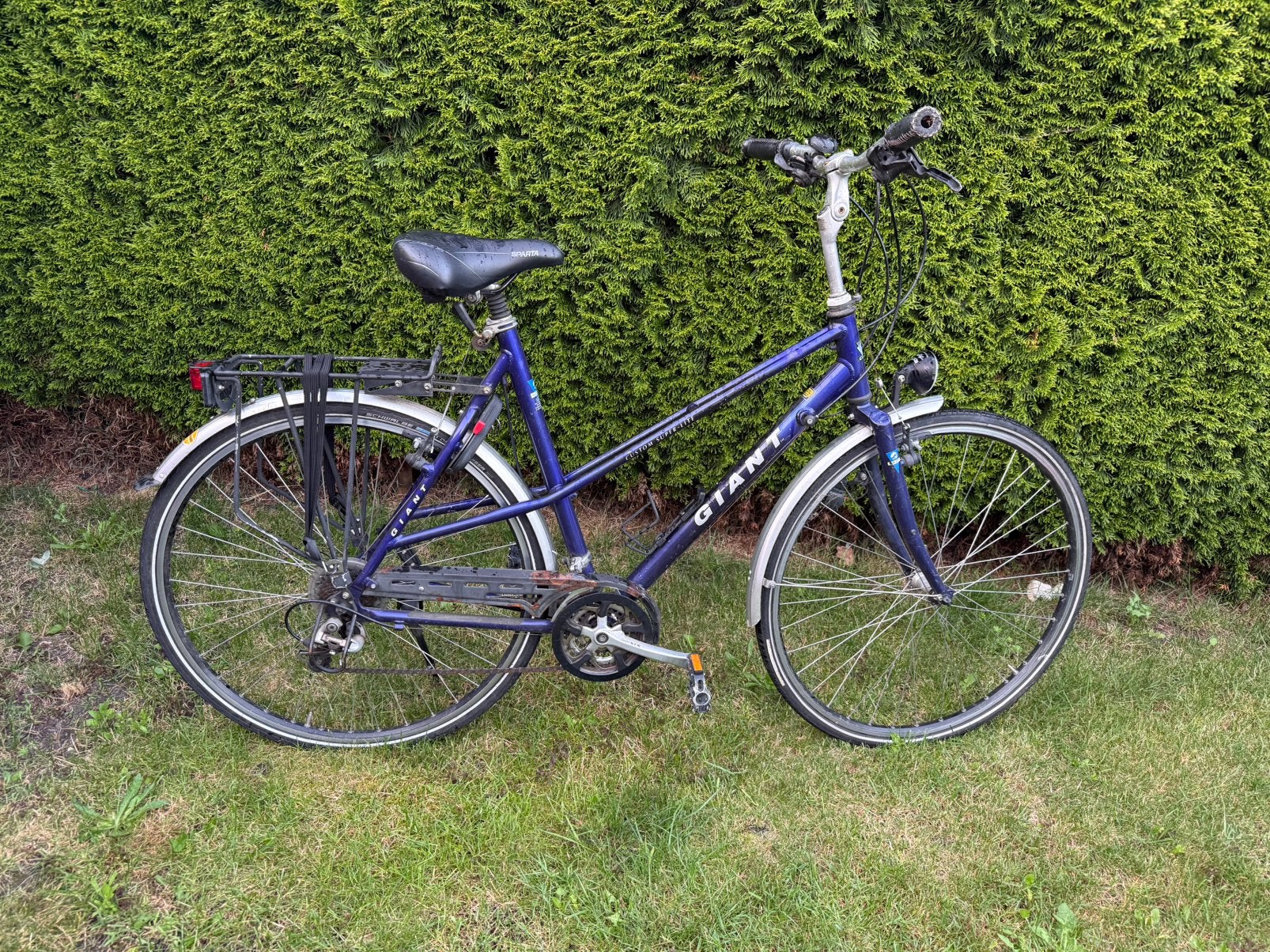 Giant dames fiets, Fietsen en Brommers, Fietsen | Dames | Damesfietsen, Ophalen, Versnellingen, Zo goed als nieuw, 56 cm of meer