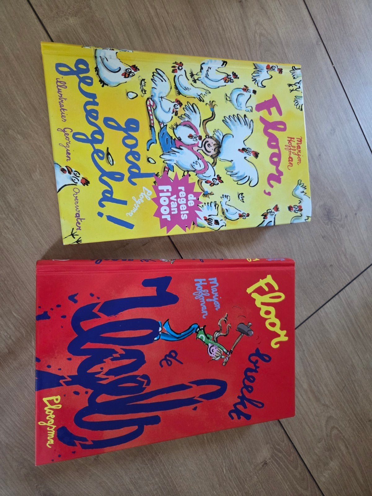 Floor boeken: 'Floor breekt de regels' Floor, goed gerege, Ophalen