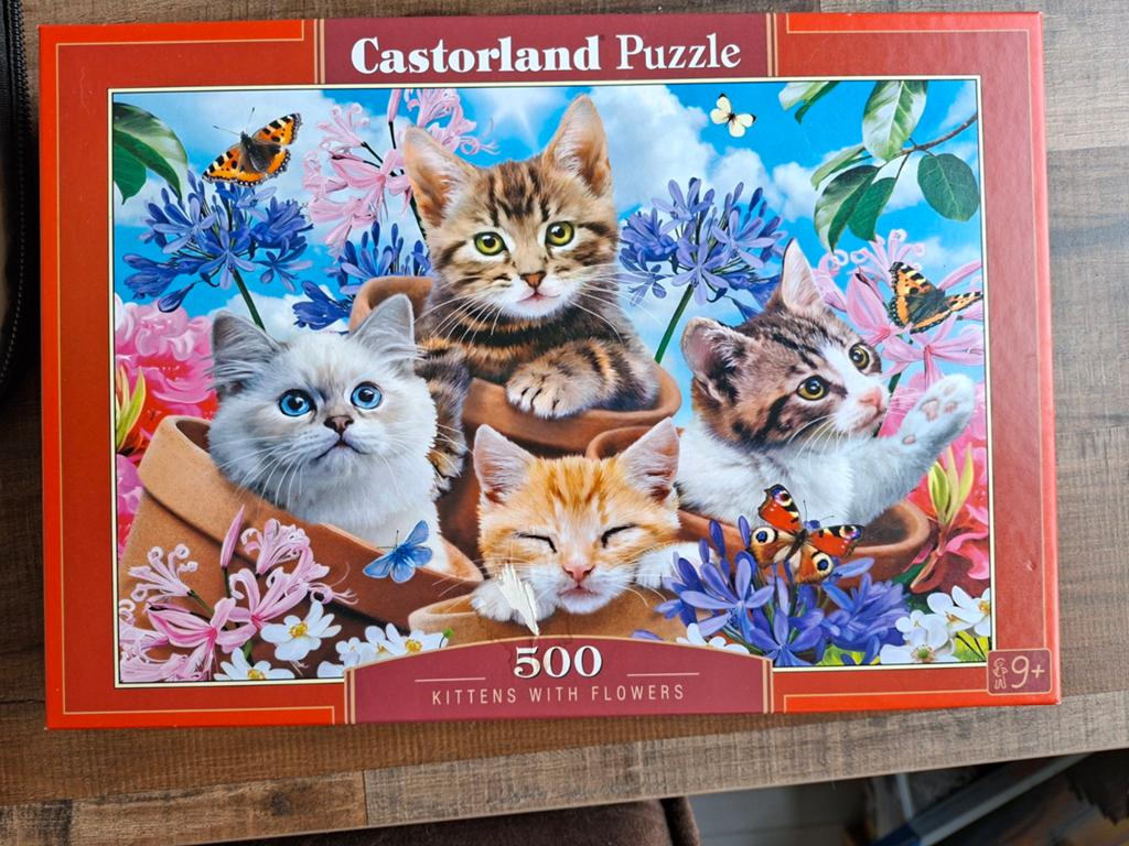 Castorland puzzel, Ophalen of Verzenden, 500 t/m 1500 stukjes, Zo goed als nieuw