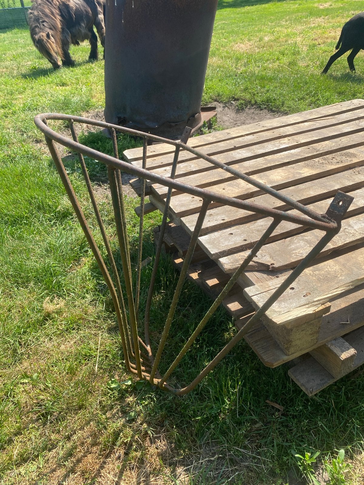 Hooiruif , Metalen voederrek voor dieren,, Ophalen of Verzenden