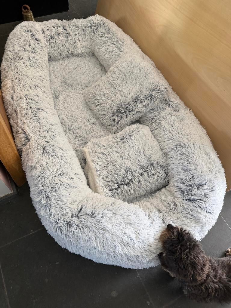 Nieuw: groot bed voor honden, katten of andere dieren, Ophalen, Nieuw, Polyester