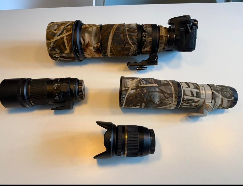 Canon EF 400mm f/5.6 L USM Telelens - Zo goed als nieuw, Audio, Tv en Foto, Fotografie | Lenzen en Objectieven, Ophalen of Verzenden