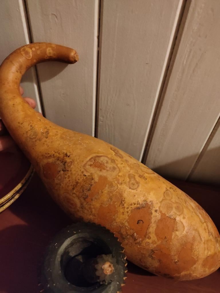 Kalebas gevuld dus te gebruiken als muziekinstrument, Huis en Inrichting, Ophalen of Verzenden