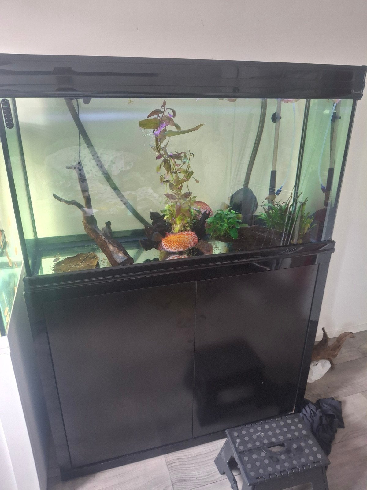 aquarium 1 meter 200 liter., Ophalen, Zo goed als nieuw