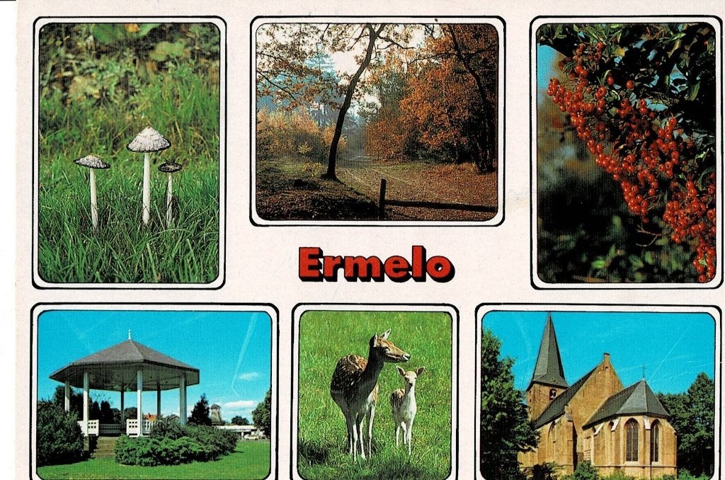 Ermelo, Ophalen of Verzenden, 1960 tot 1980, Gelopen, Gelderland