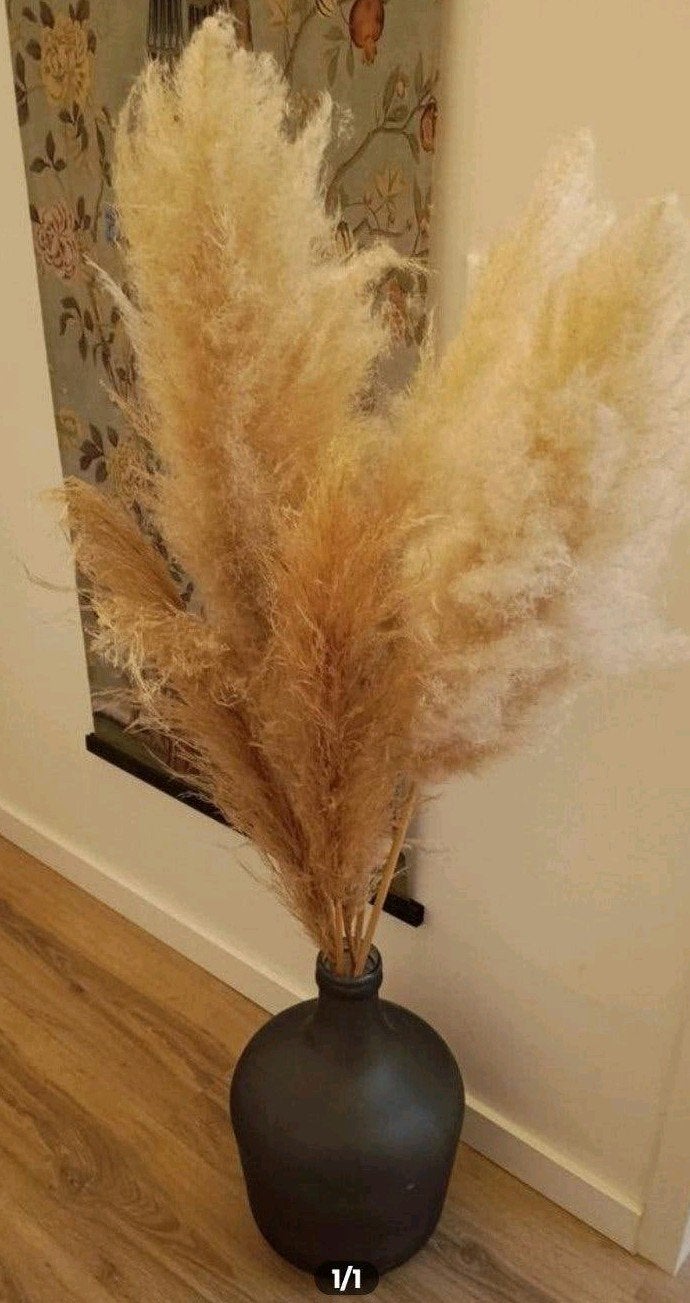 Vaas met pampas pluimen (zonder pluimen), Ophalen, Zo goed als nieuw, Overige kleuren, Minder dan 50 cm
