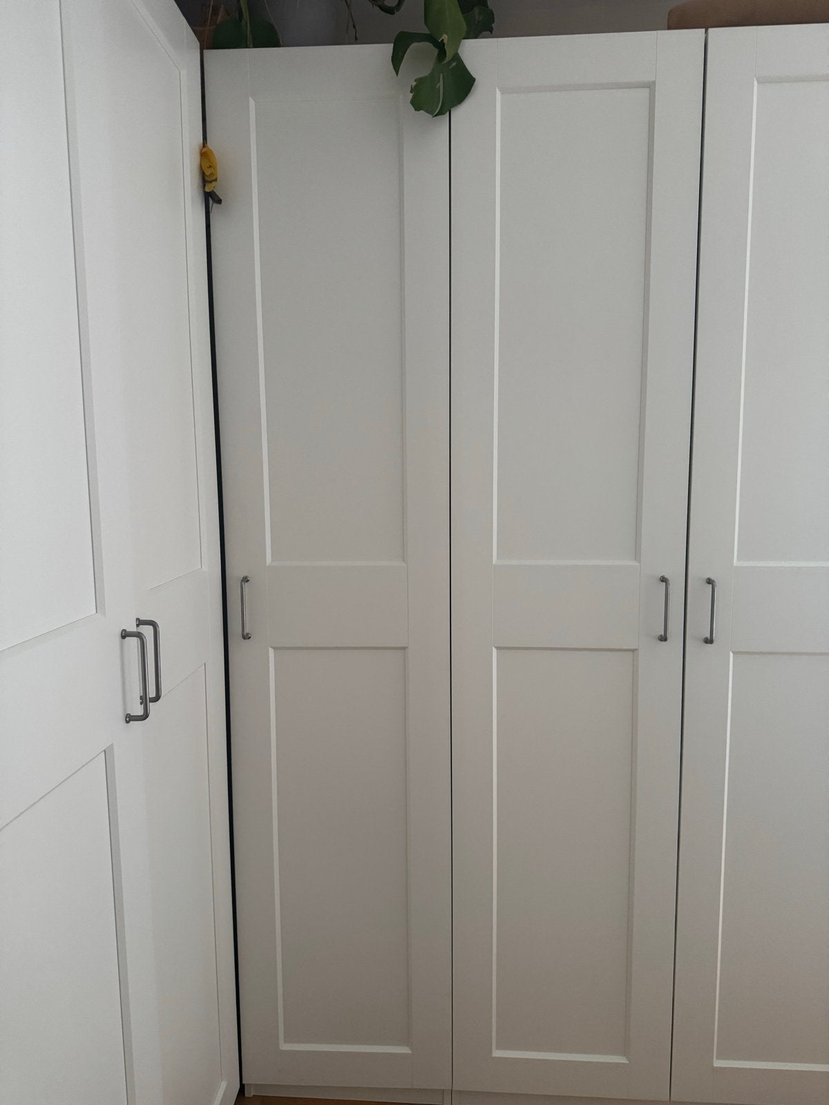 IKEA PAX kastdeur wit 50x229 cm, Ophalen, Minder dan 50 cm, 200 cm of meer, Nieuw