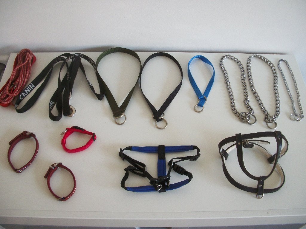 Tuigje Coatking Halsband Kam Muilkorf Speelgoed - per stuk, Overige merken, Ophalen of Verzenden, Zo goed als nieuw, Overige typen
