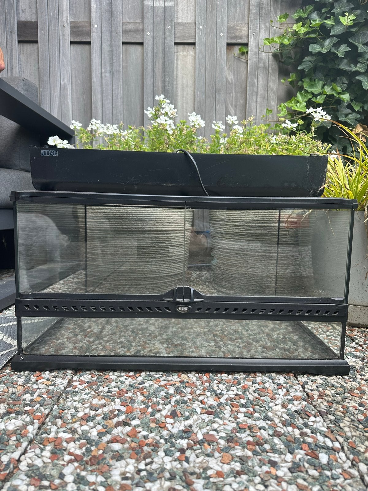Amfiebien bak van glas., Dieren en Toebehoren, Ophalen