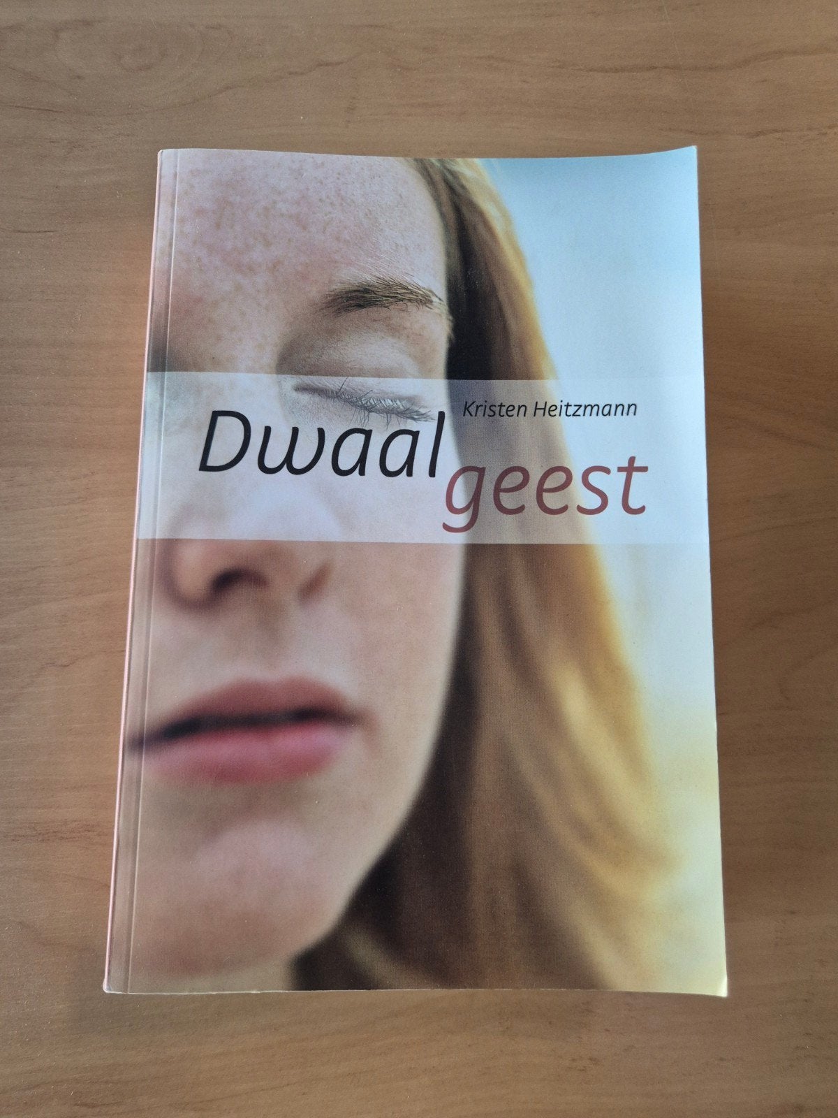 Dwaalgeest - Kristen Heitzmann (Zo goed als nieuw), Boeken, Ophalen of Verzenden, Zo goed als nieuw, Kristen Heitzmann, Nederland