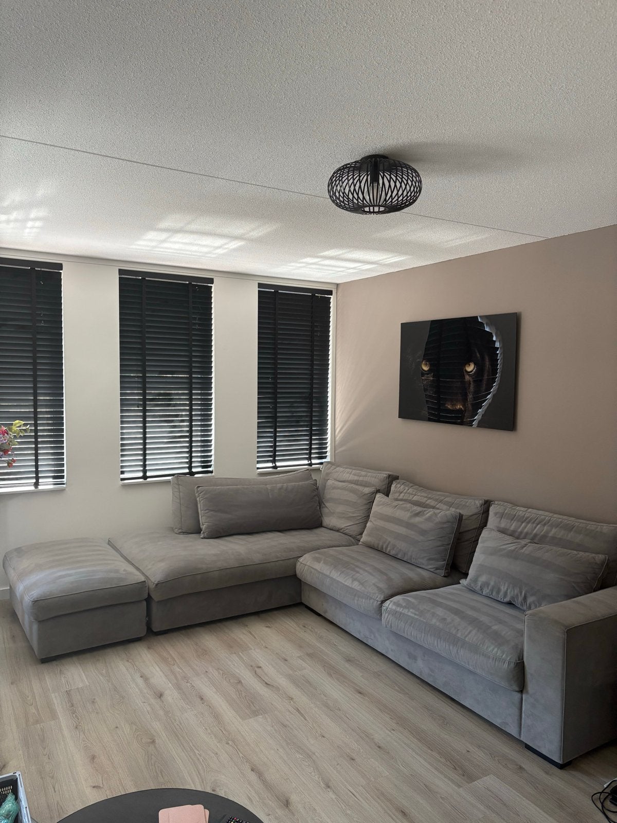 Moderne loungebank in dolphin grey., Ophalen, Gebruikt, 100 tot 125 cm, Hoekbank