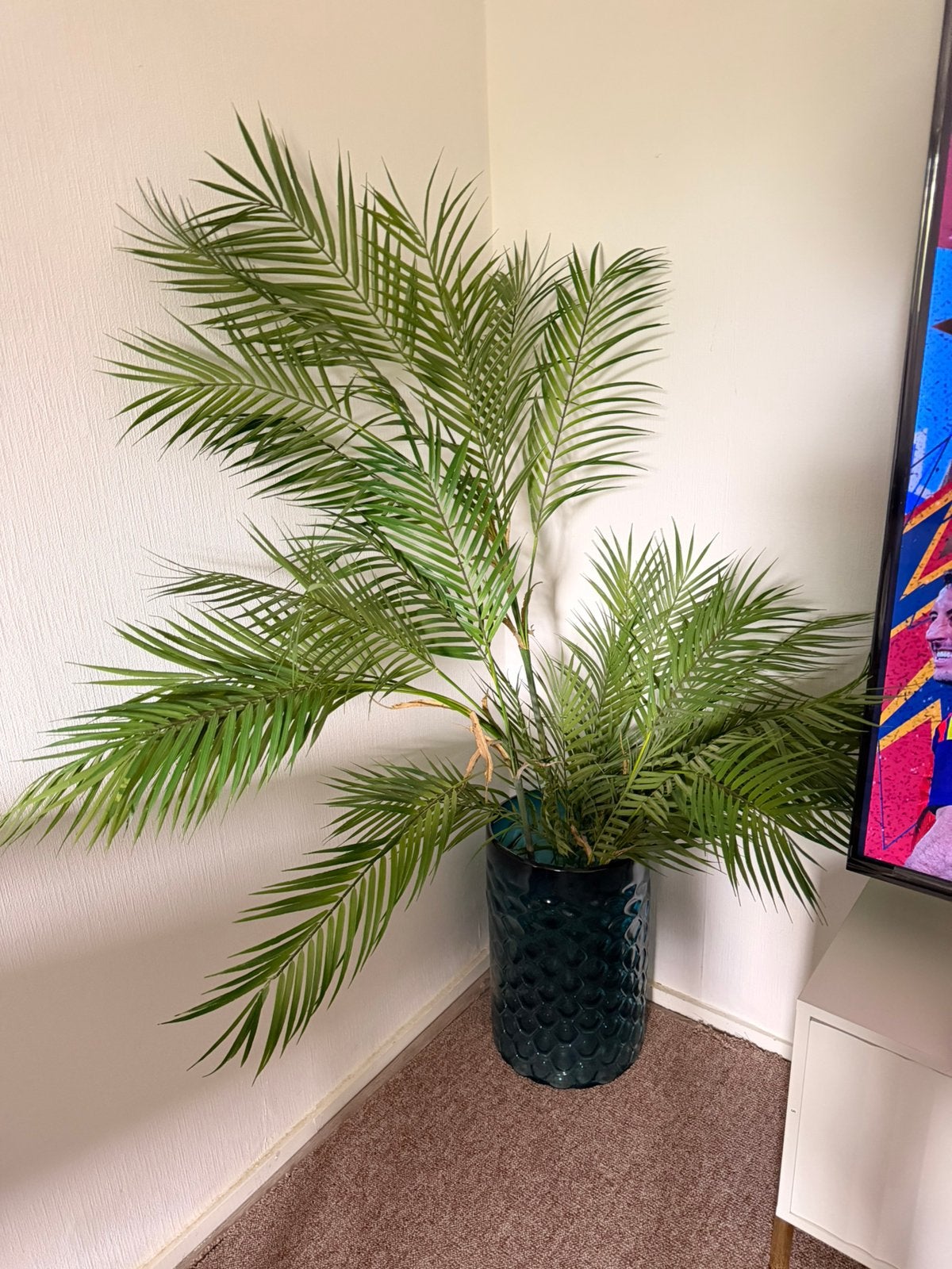 Fake plant, Ophalen, Zo goed als nieuw