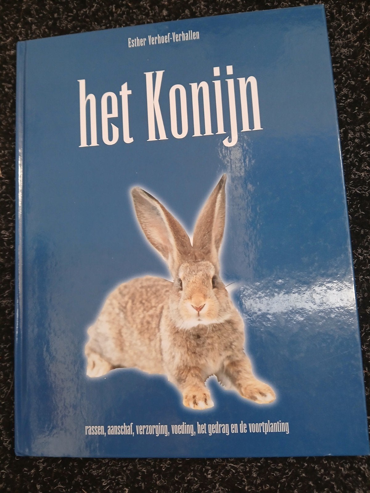 Het konijn, Ophalen of Verzenden, Gelezen, Essen, Fictie algemeen