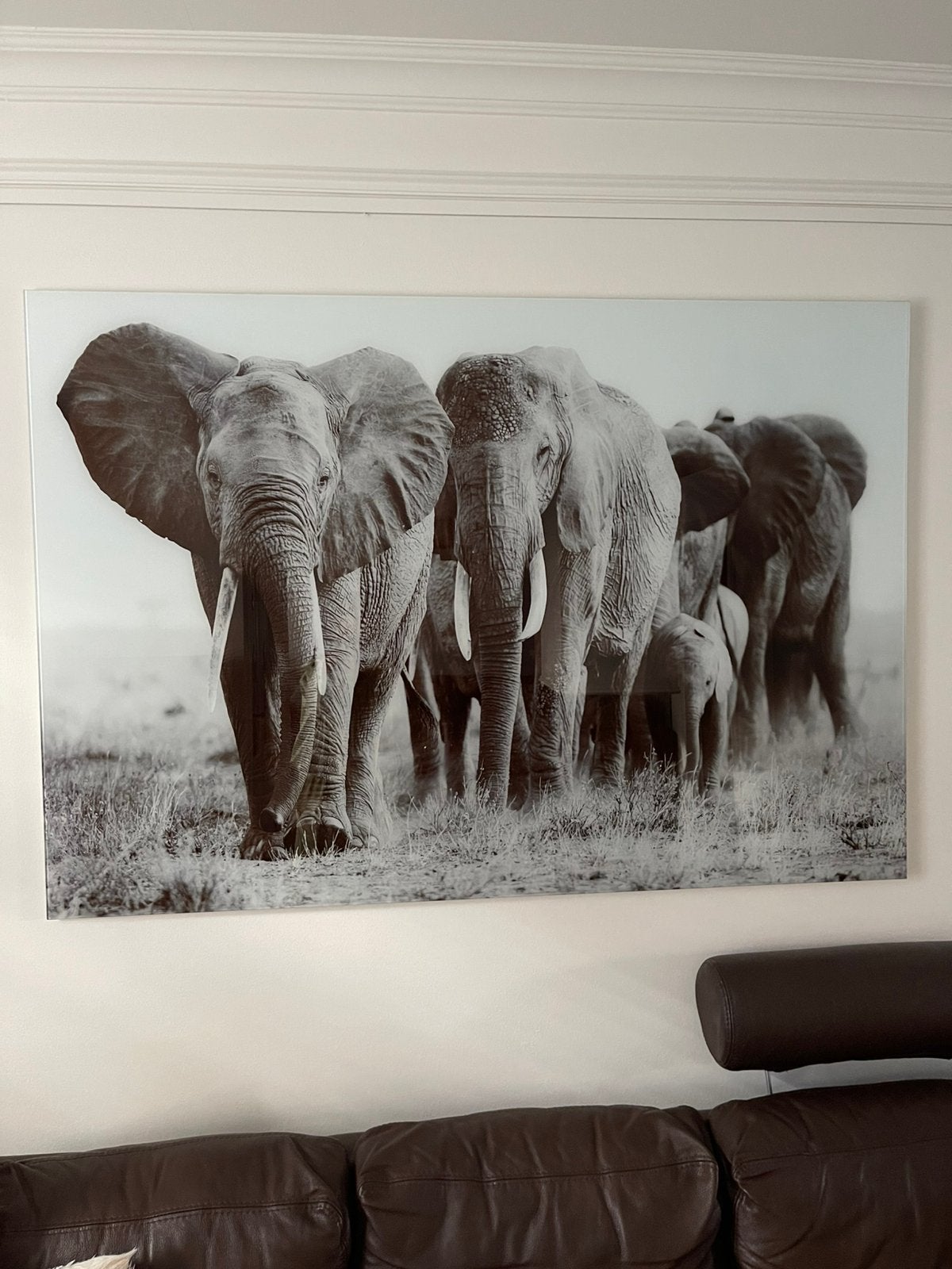Glasschilderij olifanten, kleur grijs 160 x 110 cm, Ophalen, 125 cm of meer, Zo goed als nieuw, Schilderij