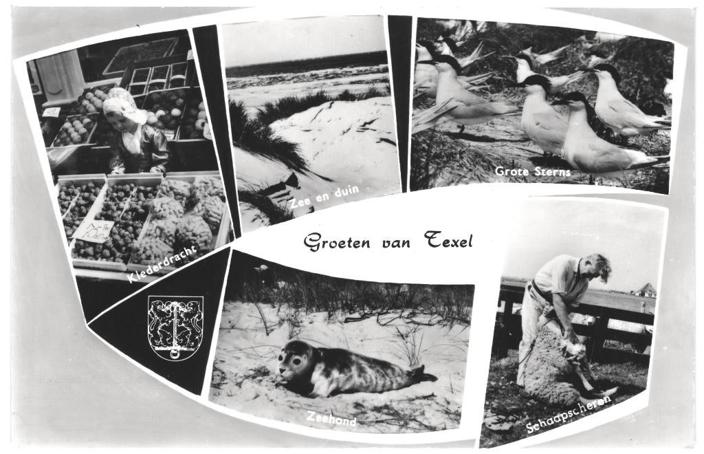 991319 Den Burg Texel 1969 Gelopen met postzegel, Ophalen of Verzenden, 1960 tot 1980, Gelopen, Noord-Brabant