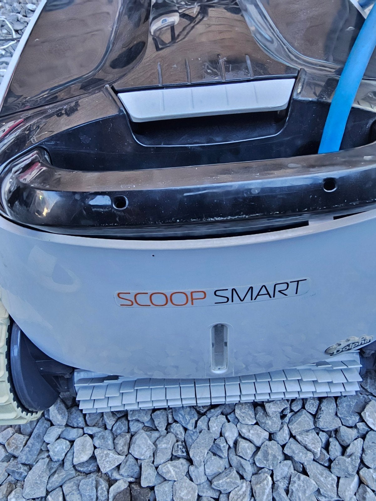 Zwembadrobot dolphin
Ophalen belgie limburg beringen, Ophalen