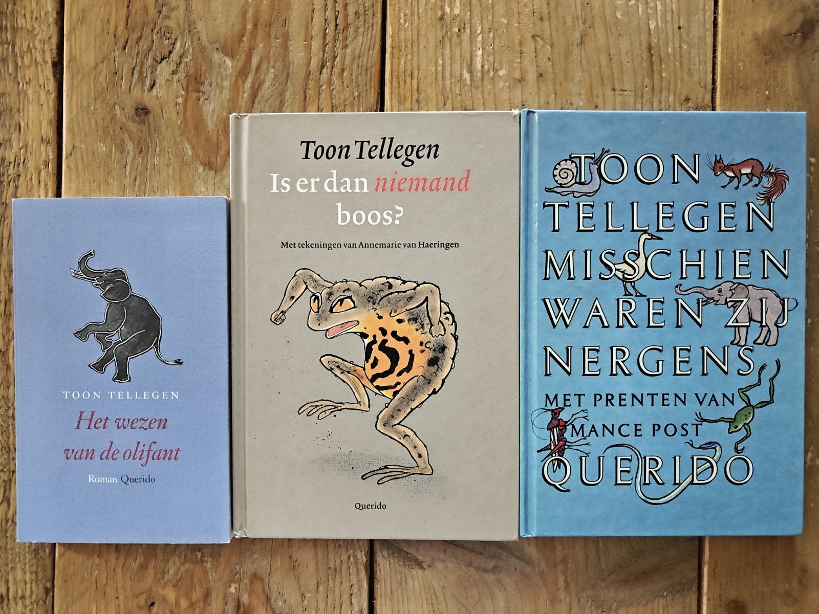 3 Boeken van Toon Tellegen., Ophalen of Verzenden, Zo goed als nieuw