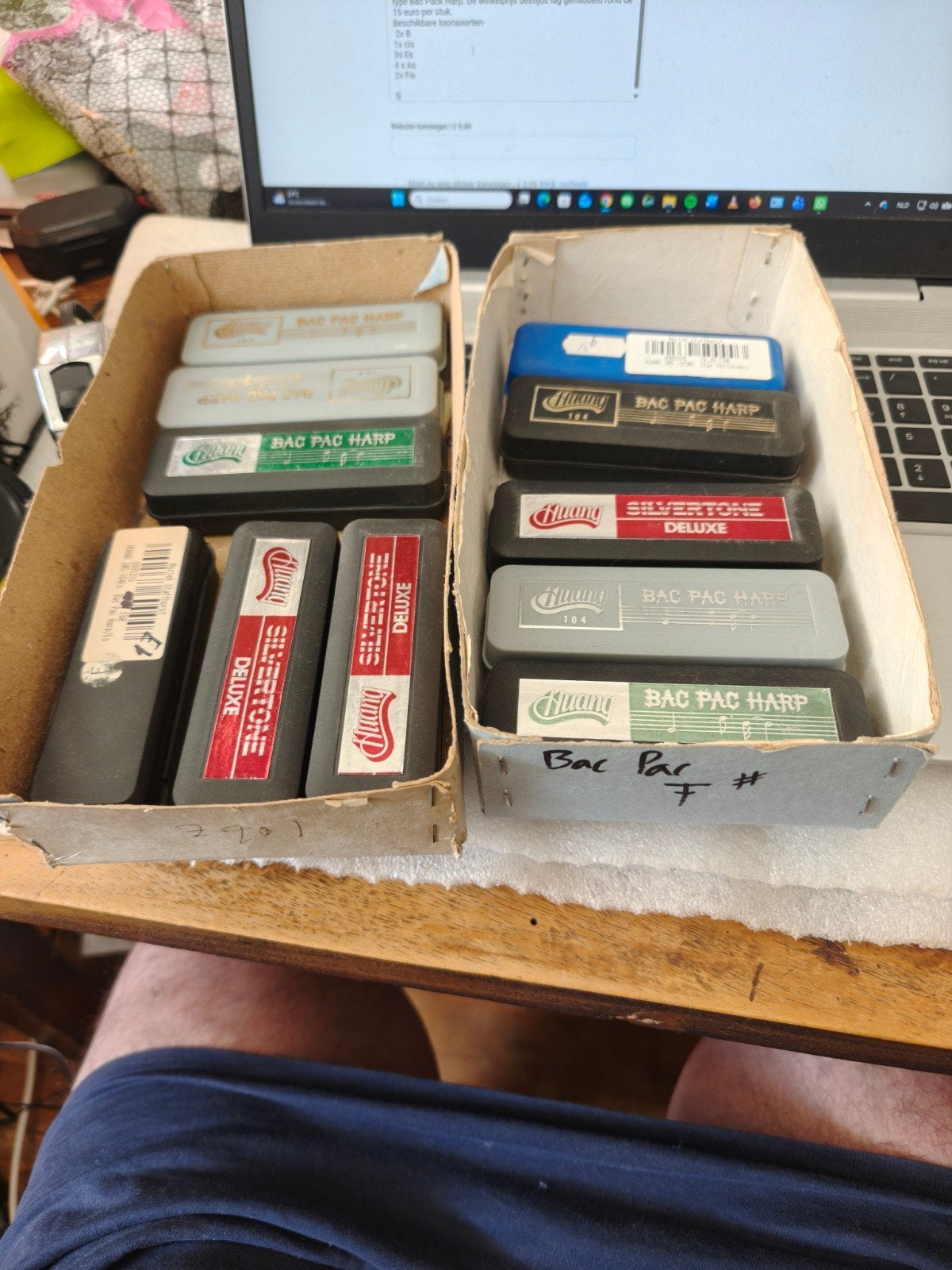 12 Mondharmonica nieuw, Muziek en Instrumenten, Blaasinstrumenten | Mondharmonica's, Ophalen of Verzenden, Met koffer of doosje