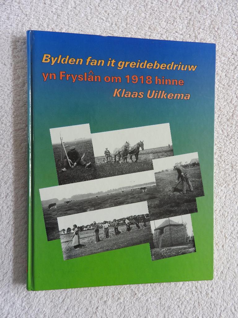 Bylden fan it greidebedriuw yn Fryslân om 1918 hinne, Ophalen of Verzenden, Zo goed als nieuw