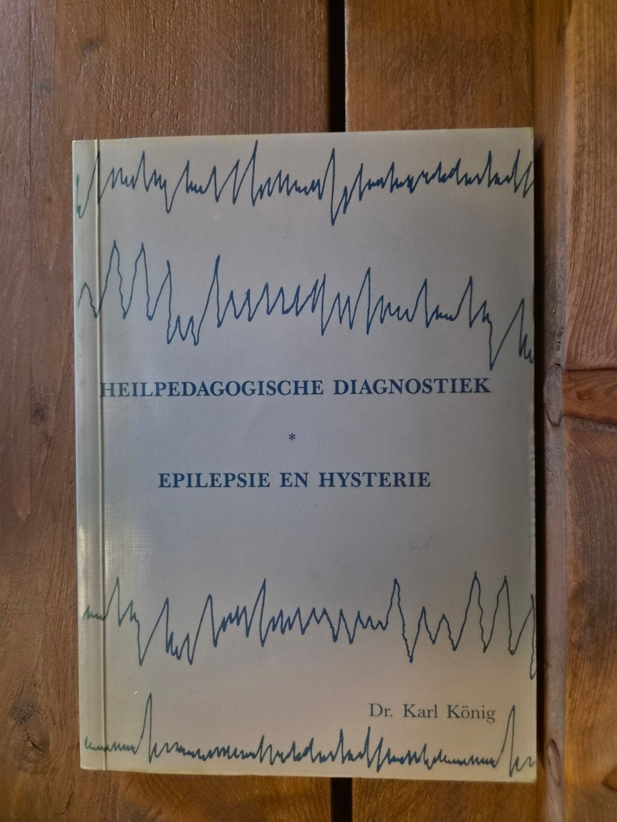 Heilpedagogische Diagnostiek: Epilepsie en Hysterie, Ophalen of Verzenden, Gelezen, Dr. Karl König