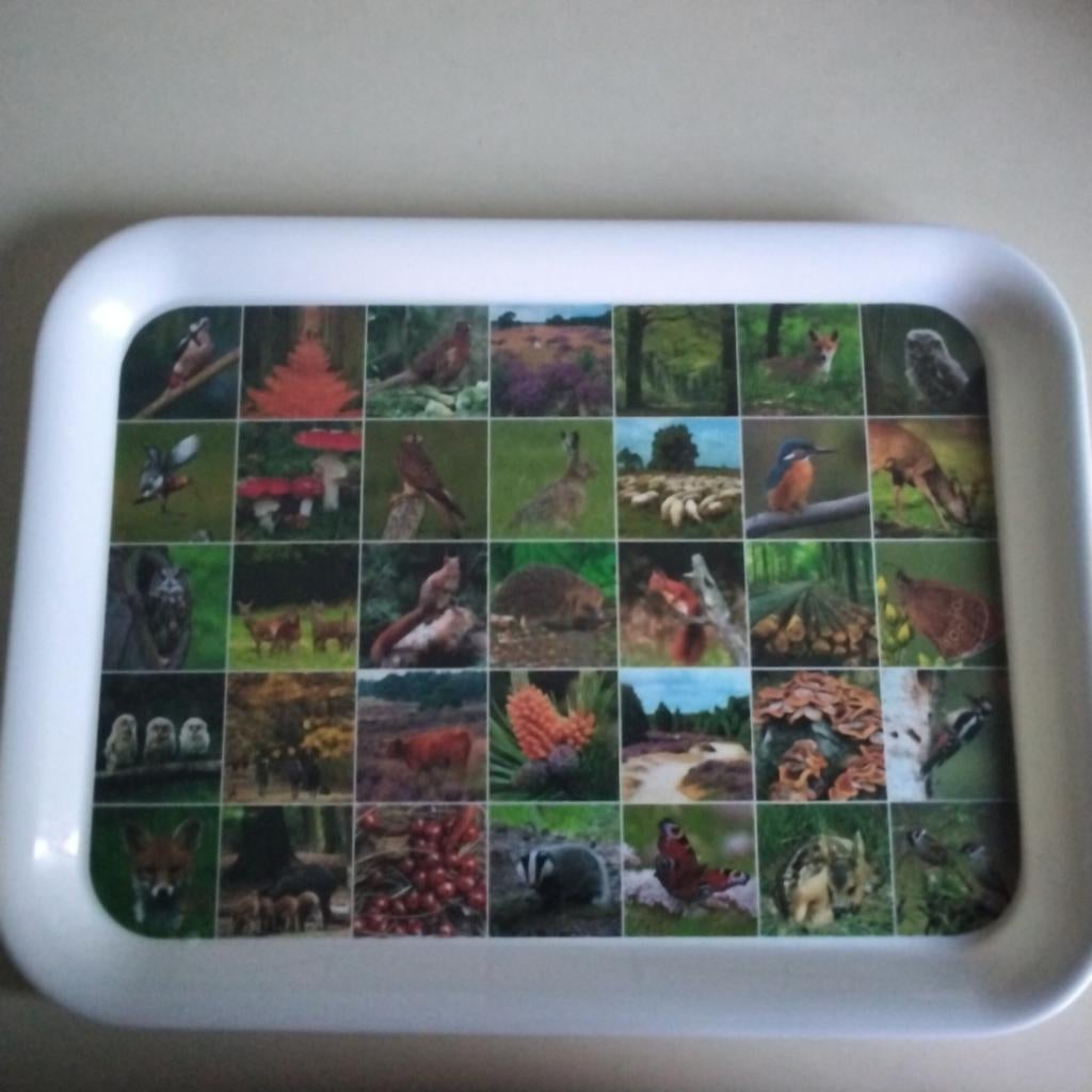 Kleurrijk  dienblad flora en fauna, Ophalen of Verzenden, Rechthoekig, Hout