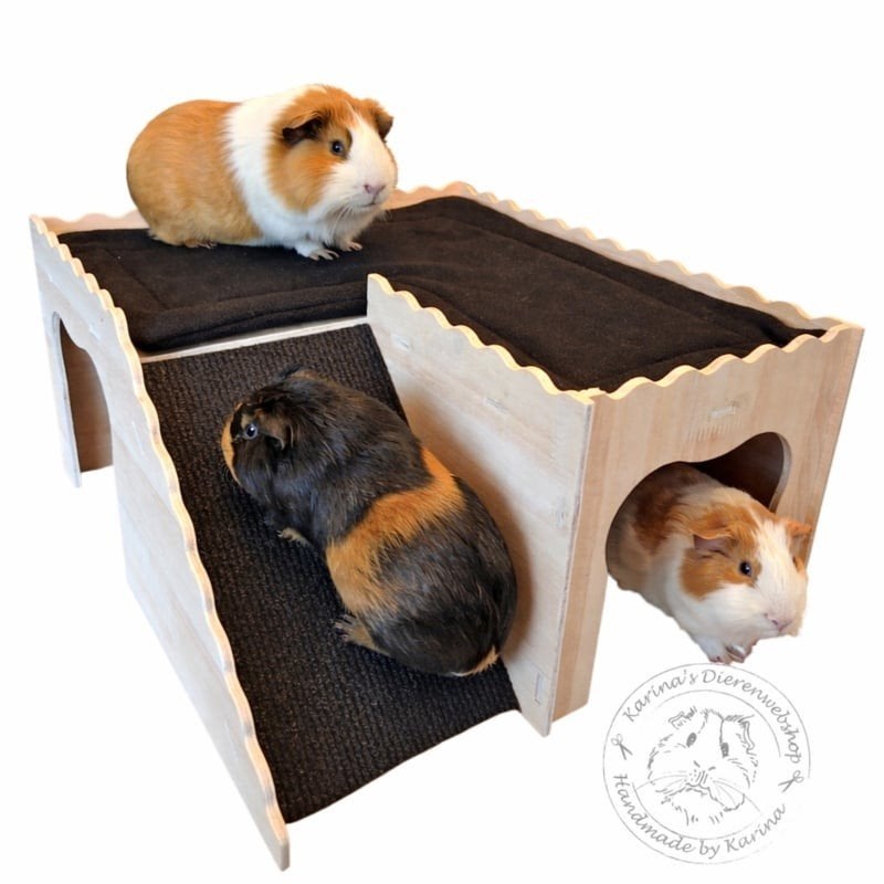 grote keuze in huisje schuilplek voor cavia's NIEUW, Dieren en Toebehoren, Www.Karinasdierenwebshop.nl, Www.Karinasdierenwebshop.nl