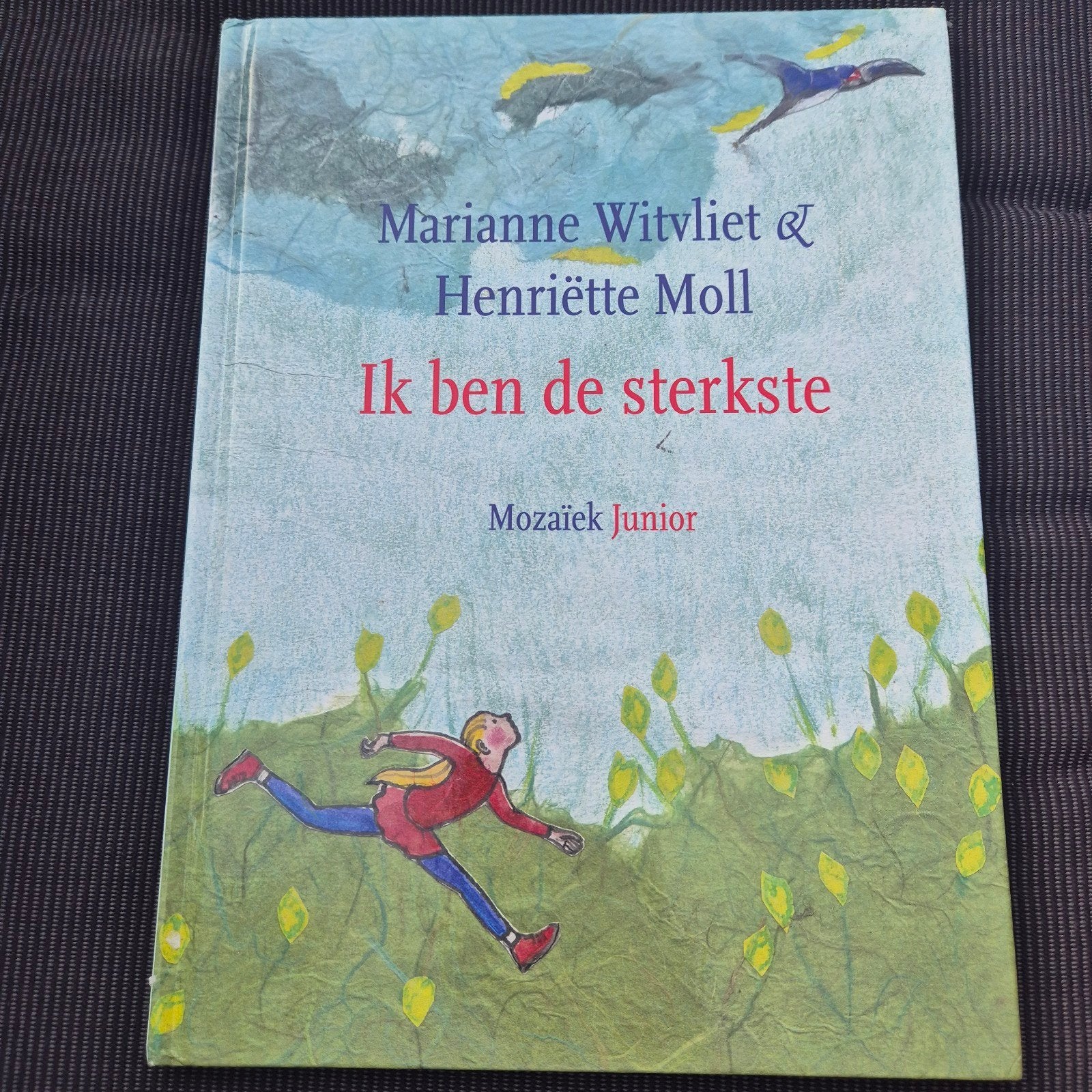 Ik ben de sterkste - Marianne Witvliet & Henriëtte Moll, Boeken, Ophalen of Verzenden, Zo goed als nieuw