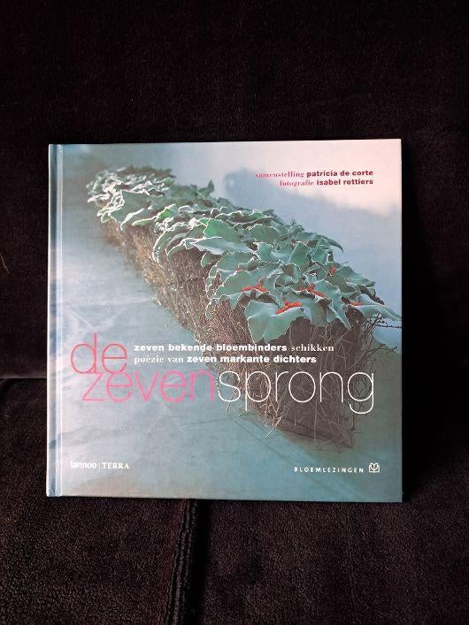 de zevensprong: Patricia Decorte nieuw, Boeken, Ophalen of Verzenden, Nieuw, Overige onderwerpen