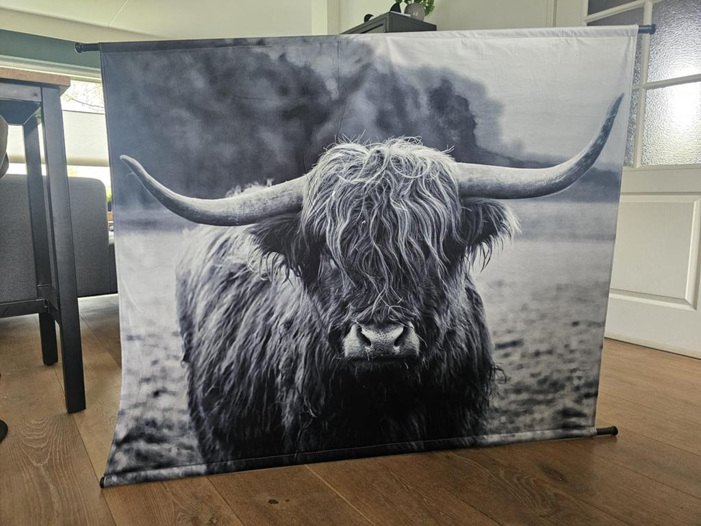 Doek met schotse hooglander, Ophalen, Zo goed als nieuw, Schilderij, 75 cm of meer
