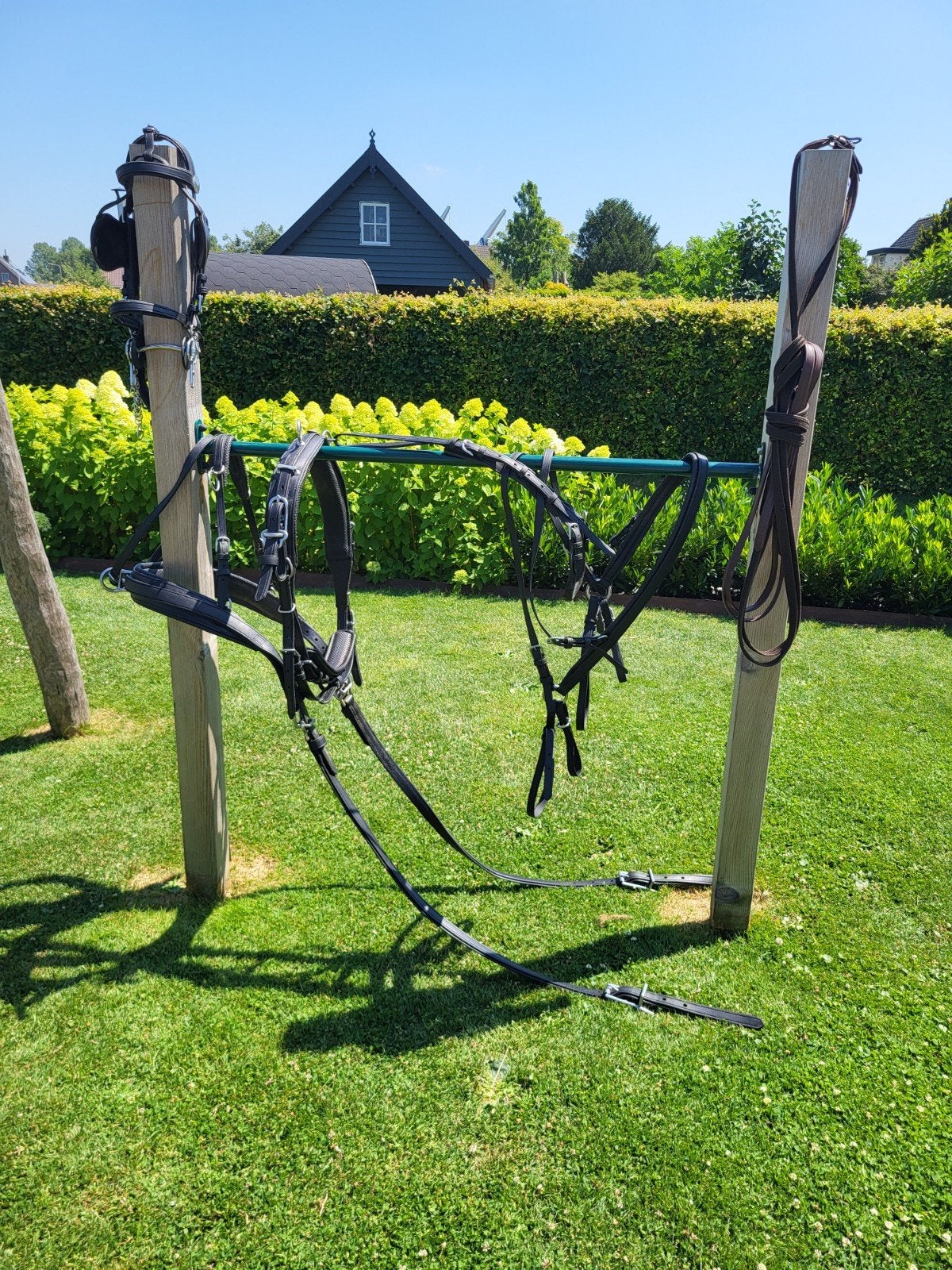 Ideal eurotech tuig pony, Dieren en Toebehoren, Ophalen, Gebruikt, Verstelbaar, Mentuig