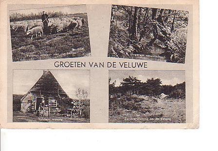 Ansichtkaart	Veluwe	4-luik, Verzenden, 1940 tot 1960, Gelopen, Gelderland