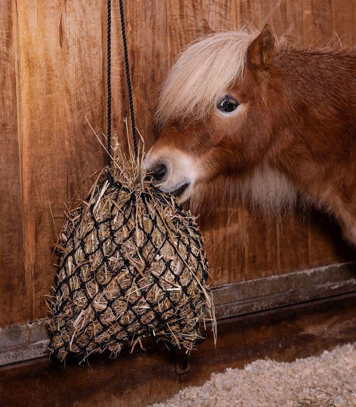 Nieuw Shetty hooinet slowfeerder, Dieren en Toebehoren, Paarden en Pony's | Overige Paardenspullen, Nieuw, Ophalen of Verzenden