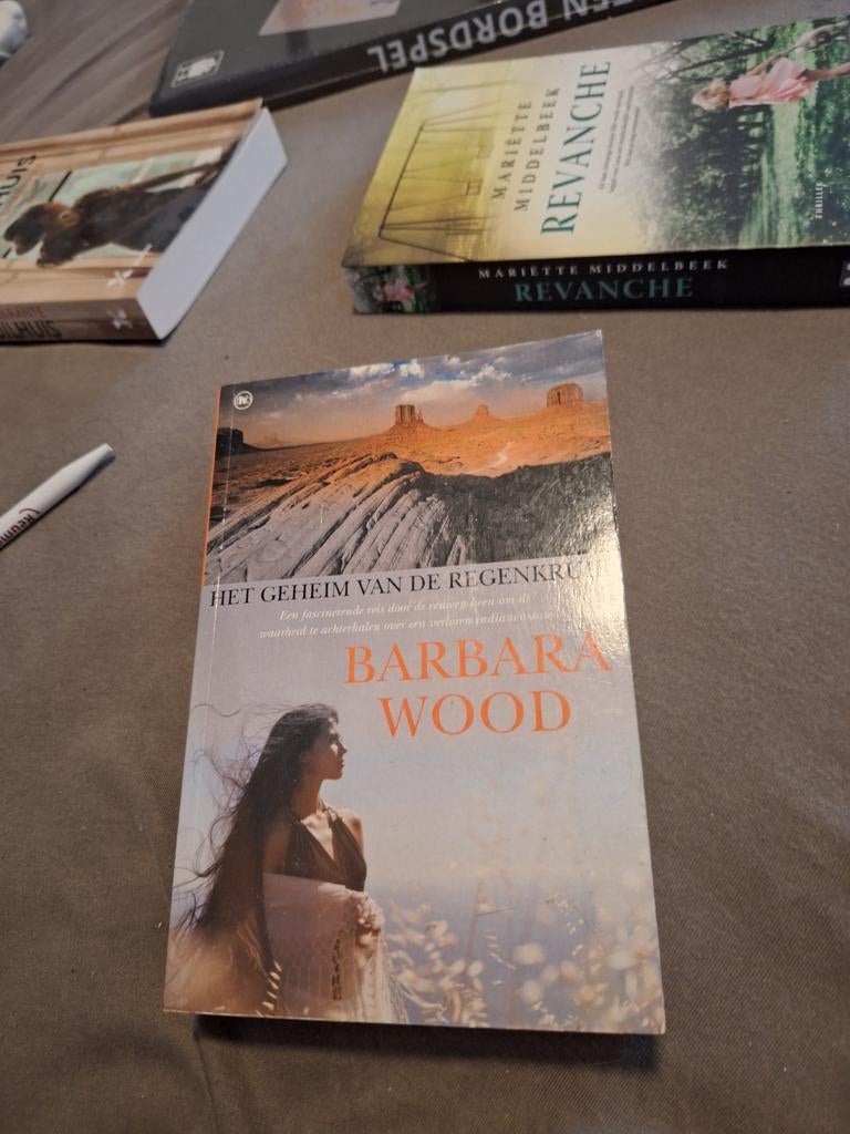 Het Geheim van de Regenkruik - Barbara Wood, Boeken, Romans, Ophalen of Verzenden, Gelezen, Barbara Wood, Nederland