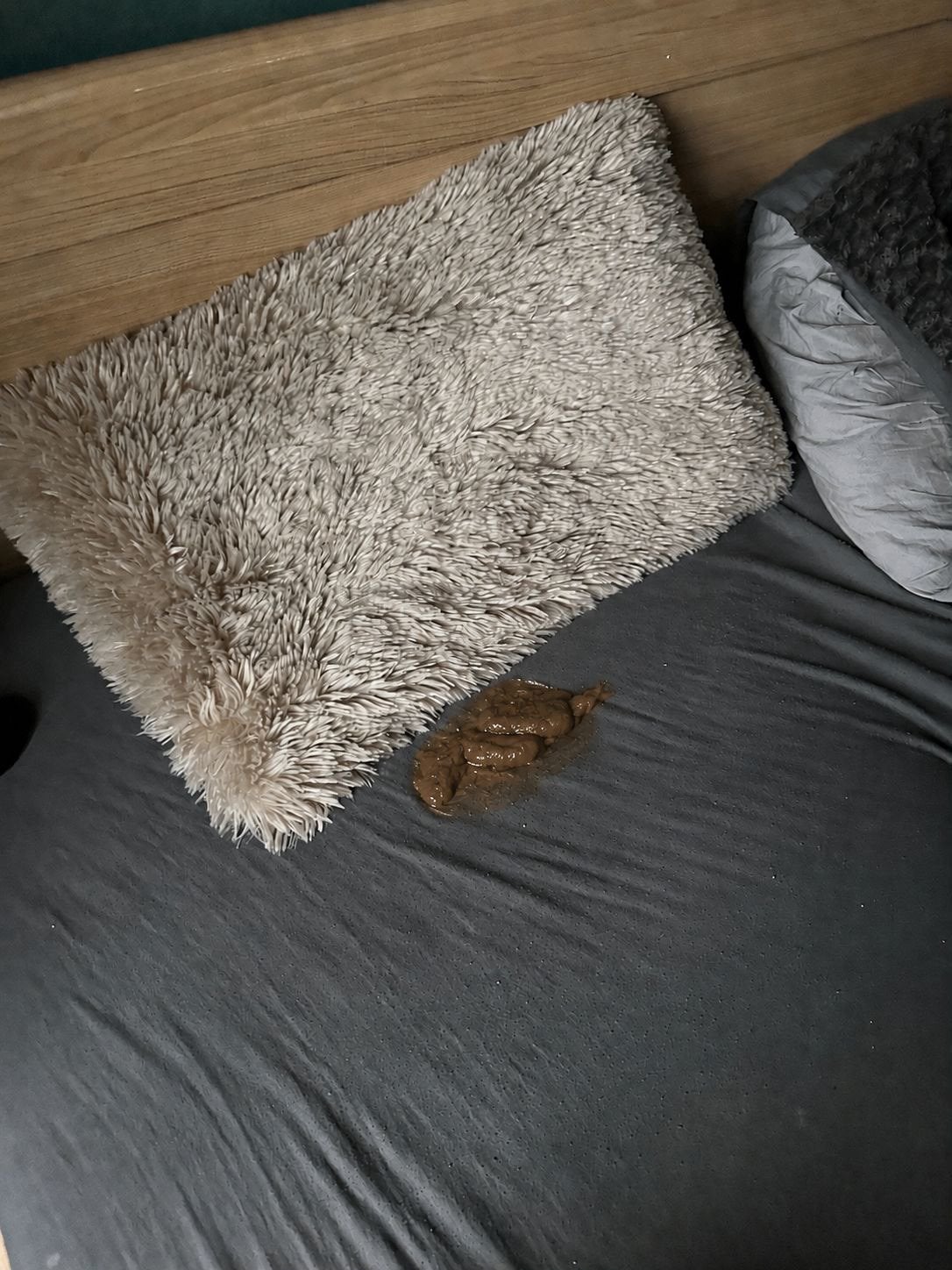 H, Ophalen of Verzenden, Zo goed als nieuw, Tweepersoons