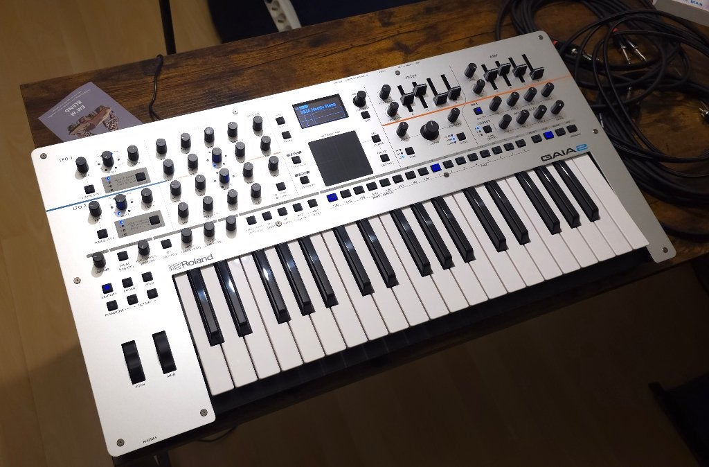 ROLAND GAIA 2 MET DECKSAVER EN ROLAND KABELS ZGAN € 600, Ophalen of Verzenden, Zo goed als nieuw, Overige aantallen, Roland
