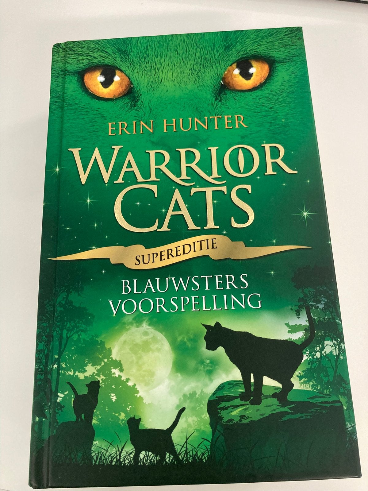 Warrior Cats super editie Blauwsters voorspeling, Ophalen of Verzenden, Zo goed als nieuw