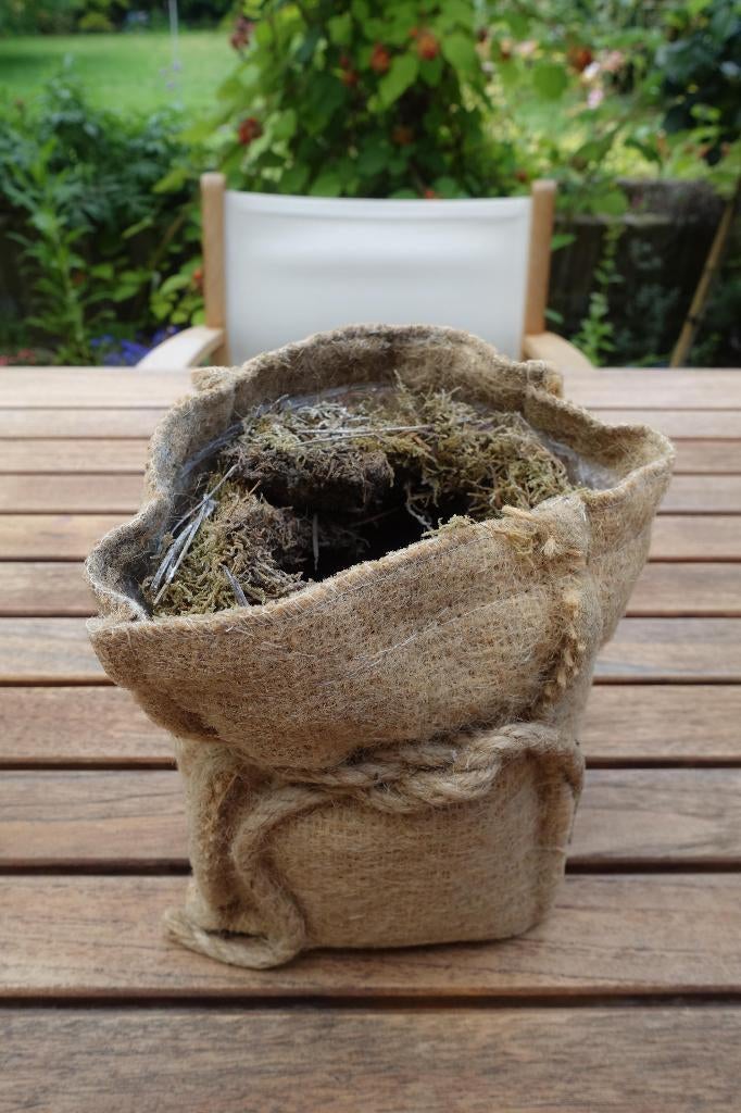 gewaxte jute zak bloempot voor lente bolletjes, Tuin en Terras, Overige materialen, Gebruikt, Binnen, Ophalen of Verzenden