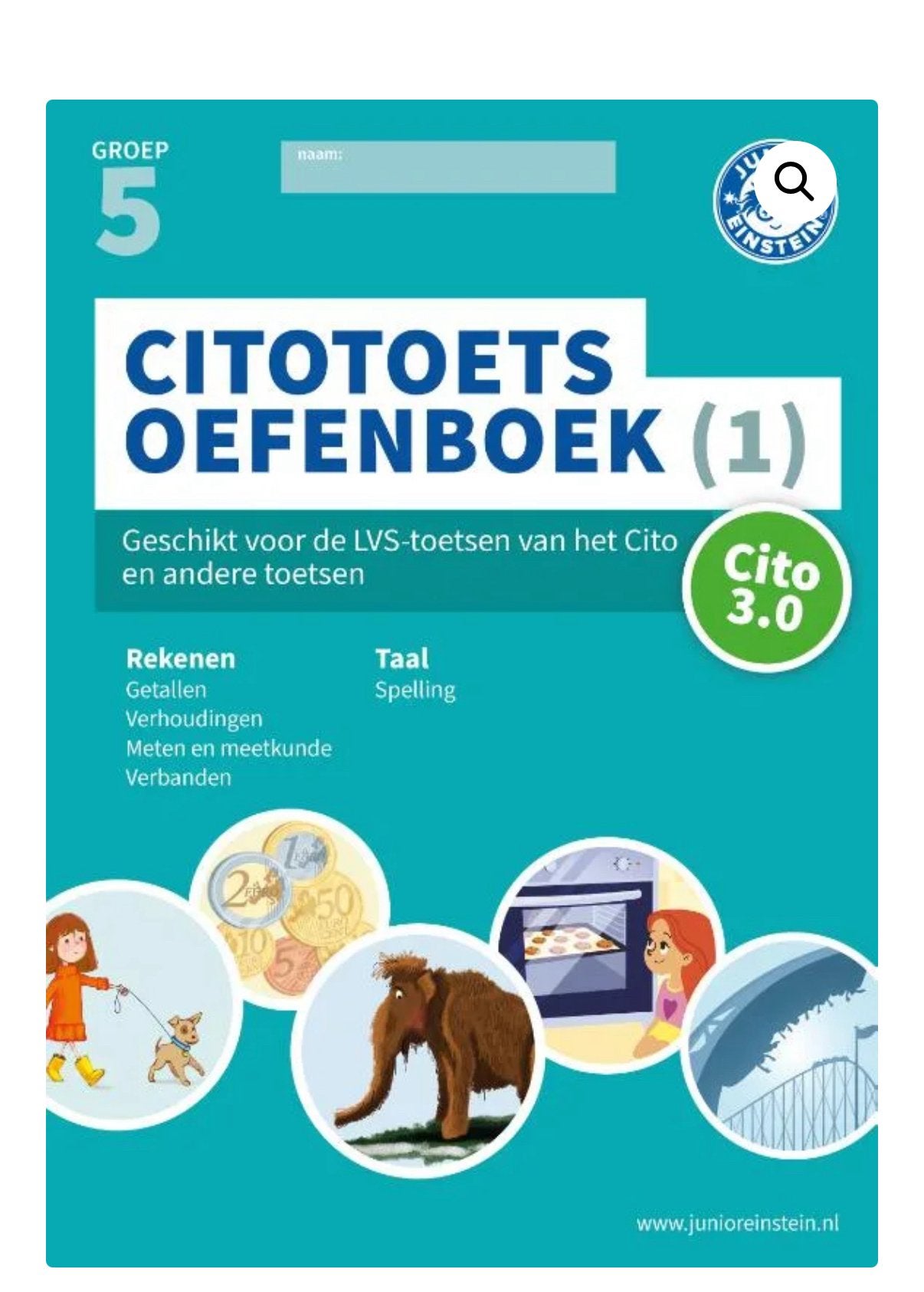 Junior einstein groep 5 oefenboeken, Ophalen, Zo goed als nieuw, Overige niveaus, Nederlands