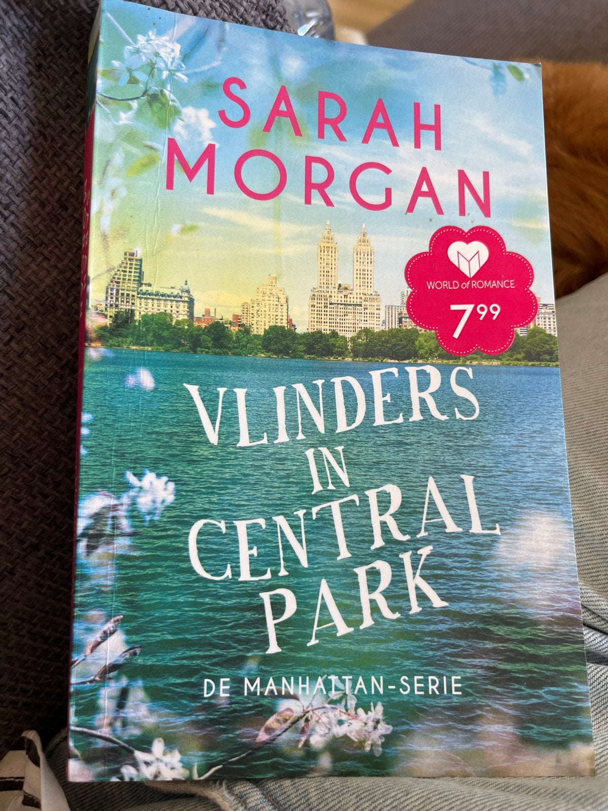 Vlinders in Central Park - Sarah Morgan (roman), Boeken, Ophalen of Verzenden, Gelezen, Nederland