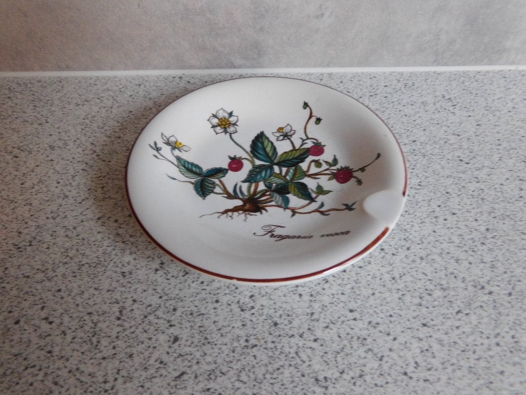 Asbak 10 cm. Botanica Villeroy & Boch, Ophalen of Verzenden, Zo goed als nieuw, Overige stijlen, Porselein