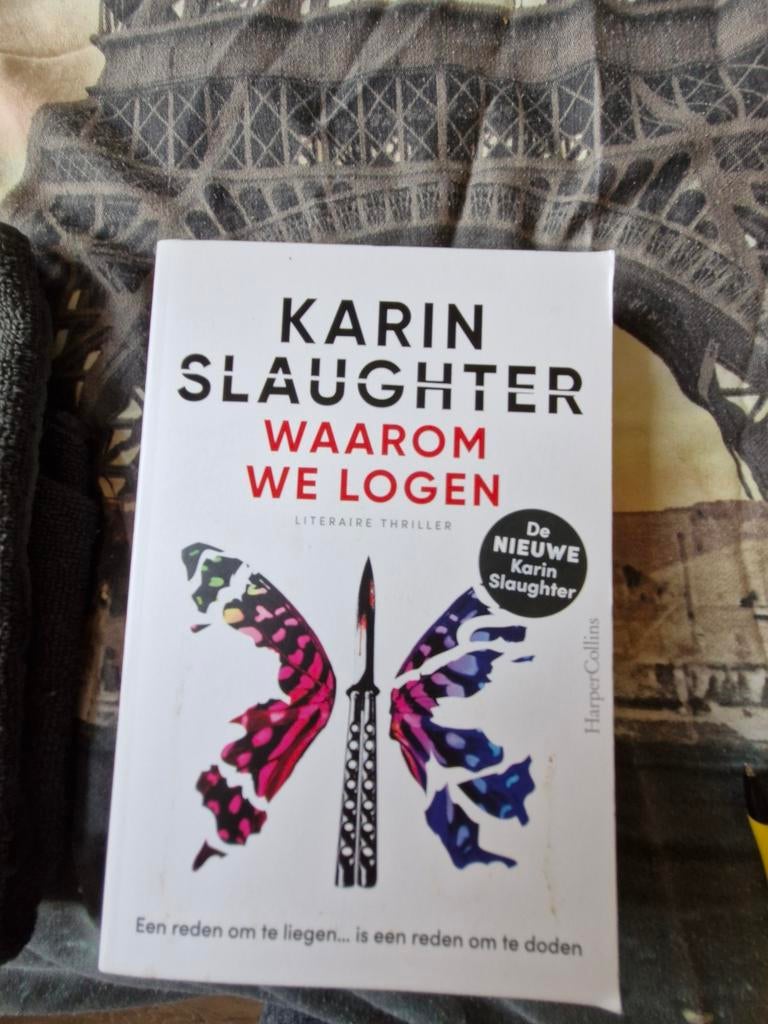 Karin Slaughter - Waarom We Logen (Literaire Thriller), Boeken, Thrillers, Ophalen of Verzenden, Zo goed als nieuw, Karin Slaughter