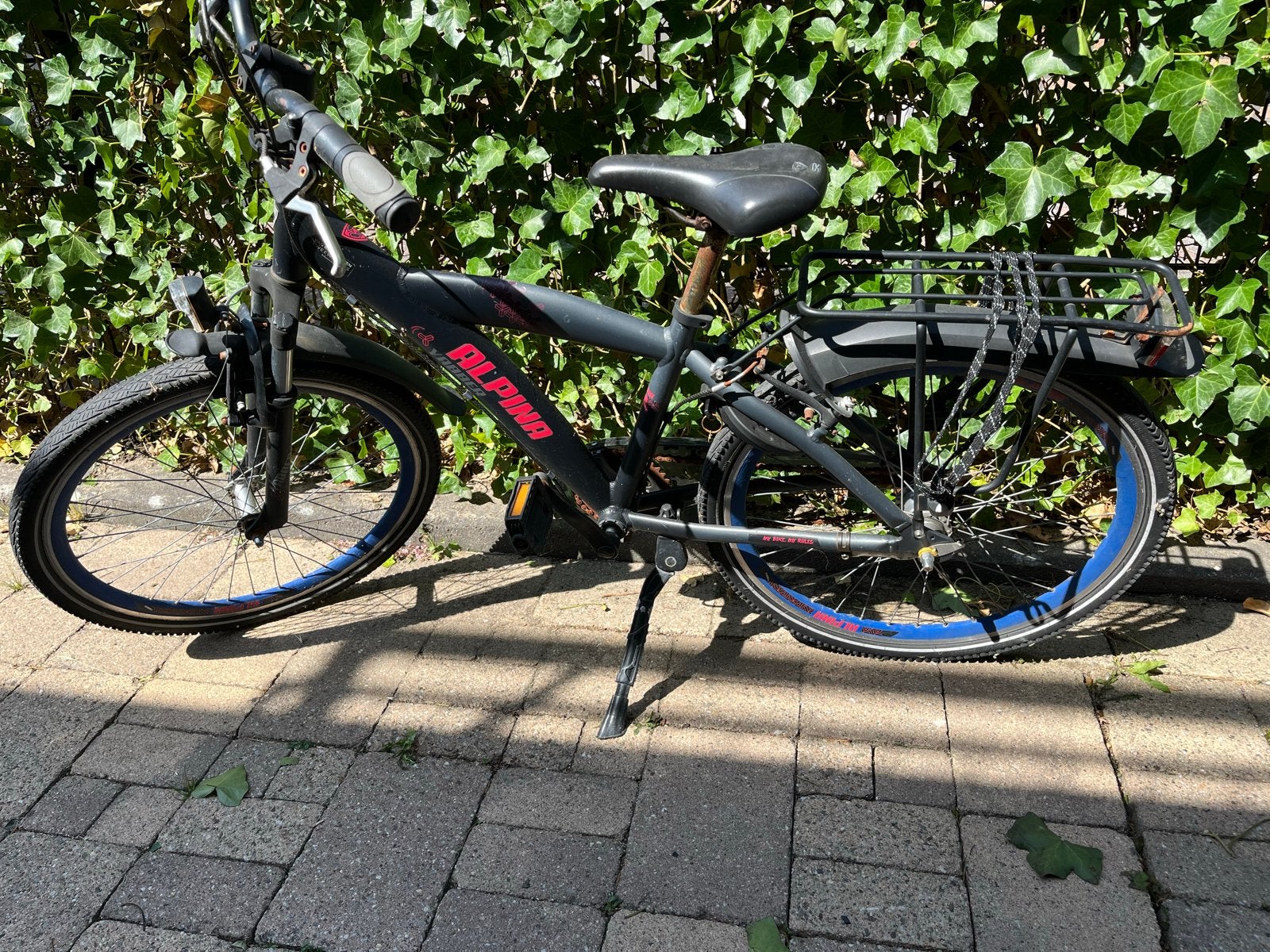 Alpina Yabber - 20 inch, Ophalen, Gebruikt, 20 inch, Versnellingen