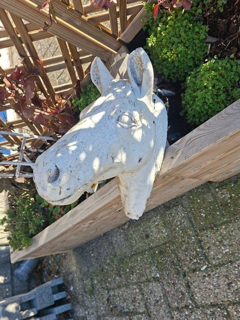 Vintage Betonnen Paardenhoofd Tuin Decoratie, Tuin en Terras, Ophalen, Gebruikt, Beton, Overige typen
