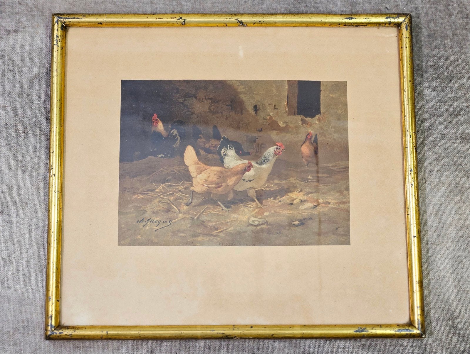 Prent scharrelende kippen, Ophalen of Verzenden