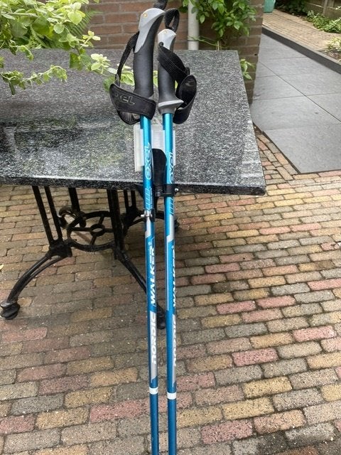 nordic walking stokken, Ophalen, Zo goed als nieuw, Wandelstok