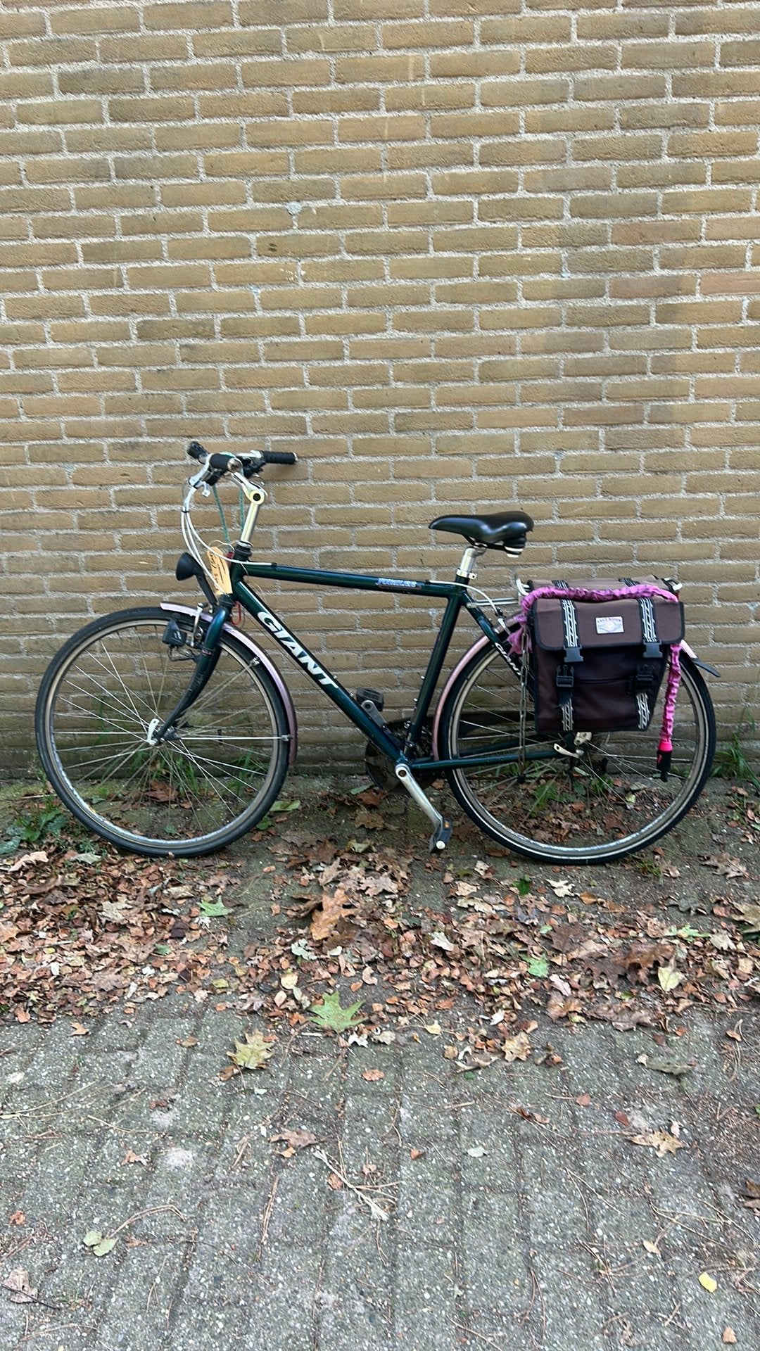 Giant herenfiets 8 versnellingen, Versnellingen, Zo goed als nieuw, 53 tot 57 cm, Giant